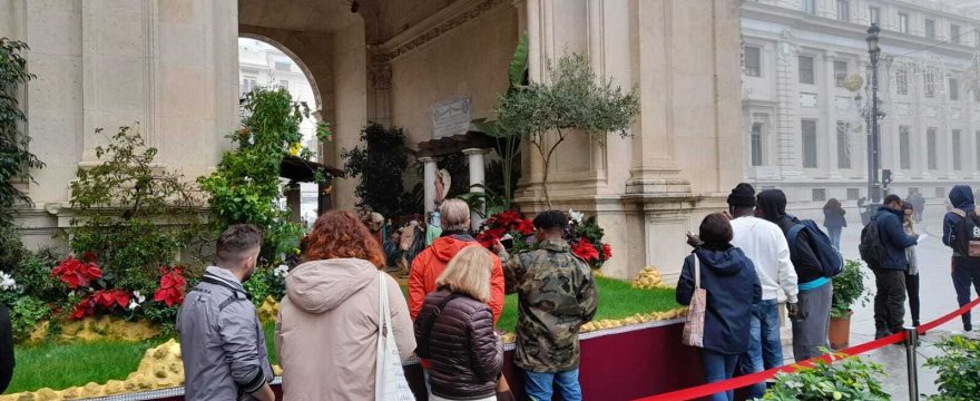 Conociendo las festividades navideñas